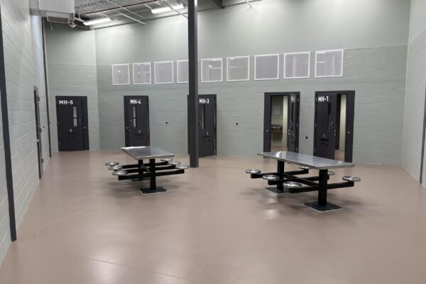 Dayroom 286 Overview of Cells