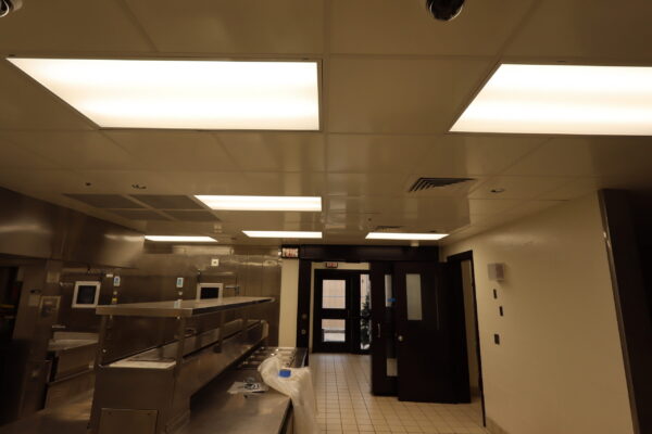 SecureDek ceilings 1