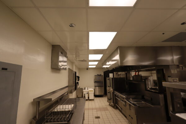 SecureDek ceilings 2