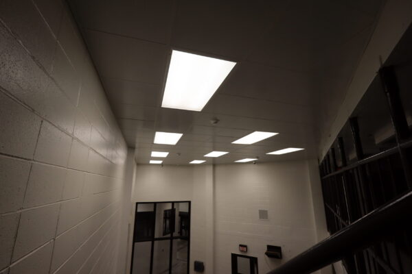 SecureDek ceilings 3